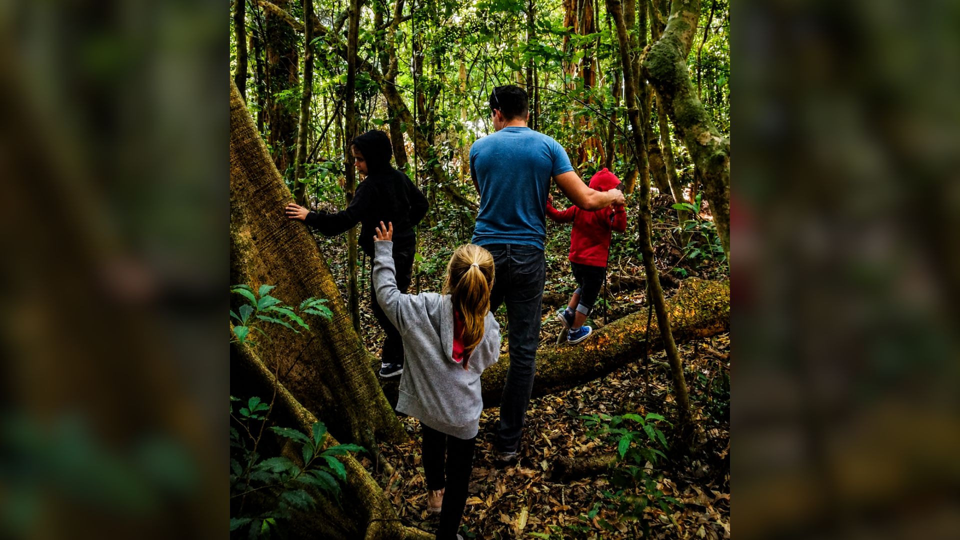 Tour de Historia Natural