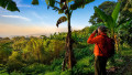 Avistamiento de Aves, Amanecer y Naturaleza