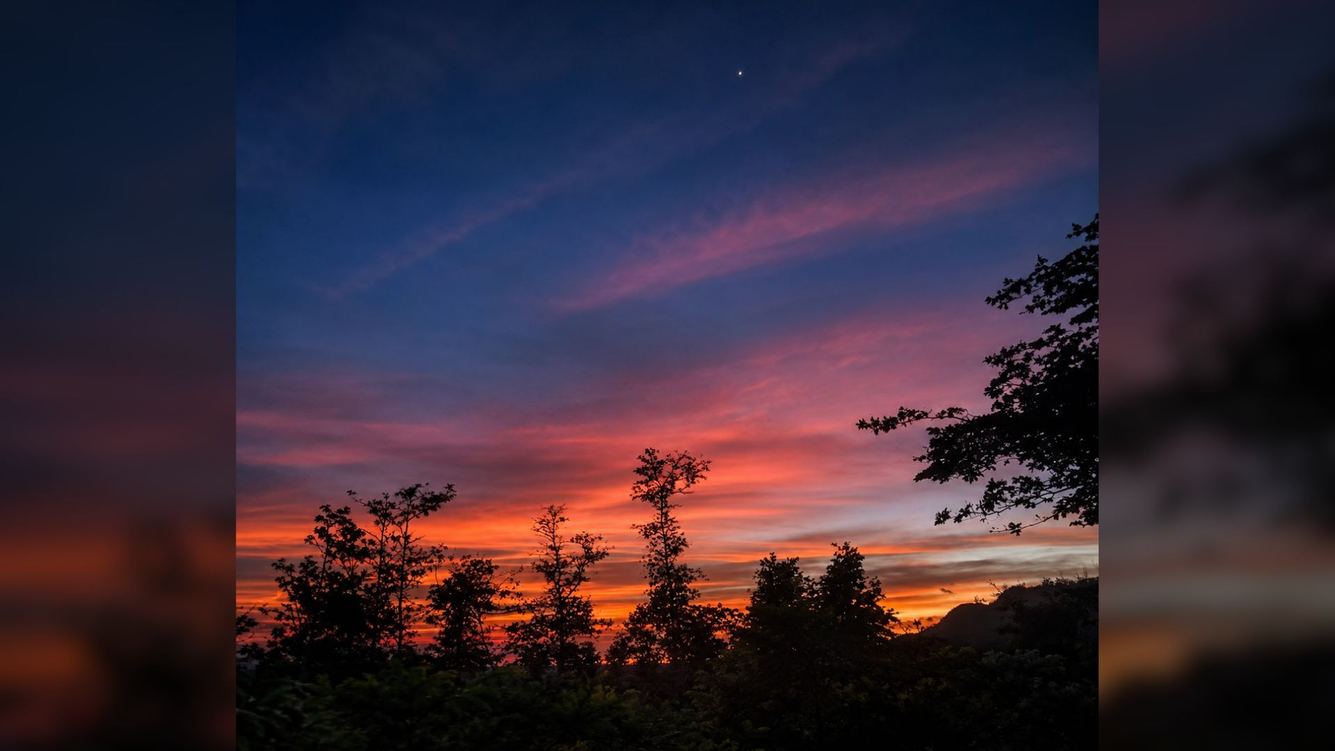 Transition Tour (Birdwatching-Sunset-Night Walk)