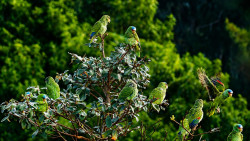 Transition Tour (Birdwatching-Sunset-Night Walk)