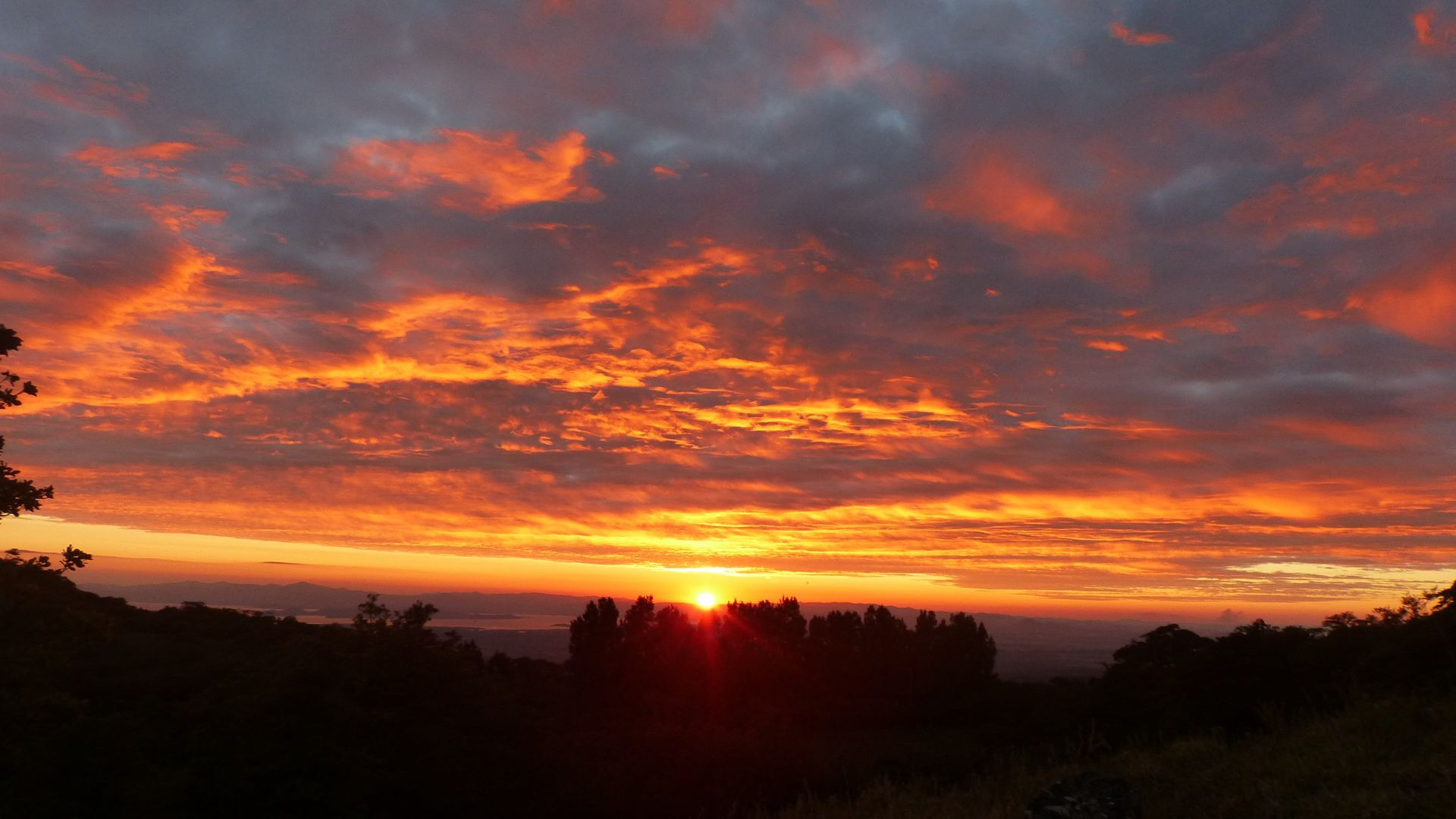 Transition Tour (Birdwatching-Sunset-Night Walk)