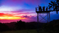 Tour de Atardecer y Caminata Nocturna