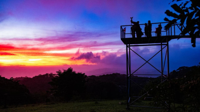 
              Sunset Tour and Night Walk
             