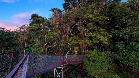 Monteverde Birding Meaningful Experience